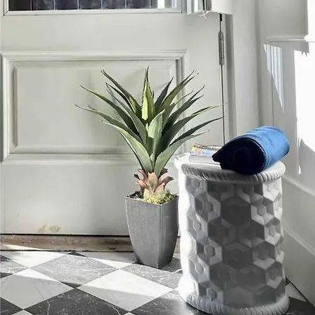 Luxury Loft In Appartement